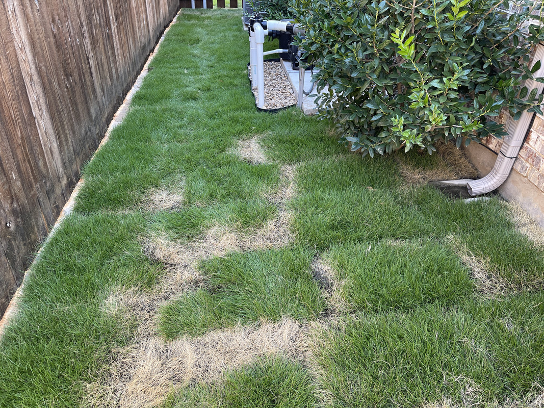 36571528-44E9-4CB6-8469-69102CF25F8E