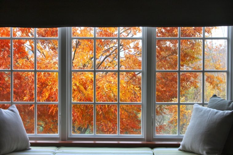 Почему осень гораздо лучше лета