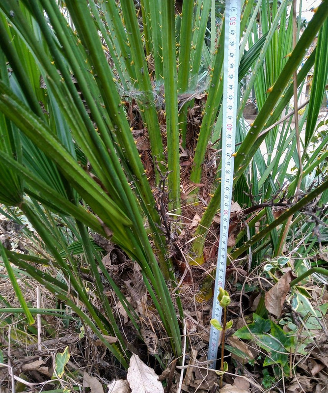 IMG_20220220_153641906~3