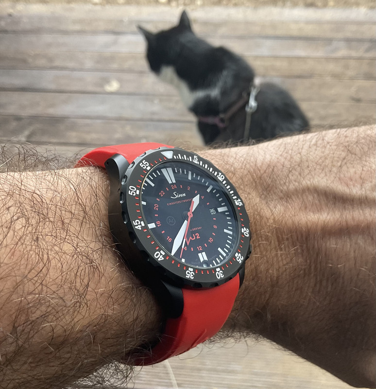 D8E17098-86B2-4977-B955-EEF4E77F4A0C