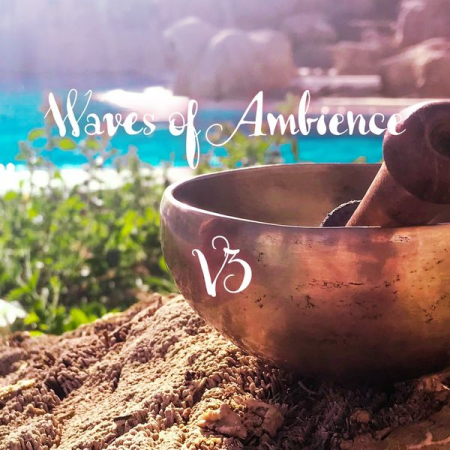 Various Artists - Waves of Ambience: V3 (2020)