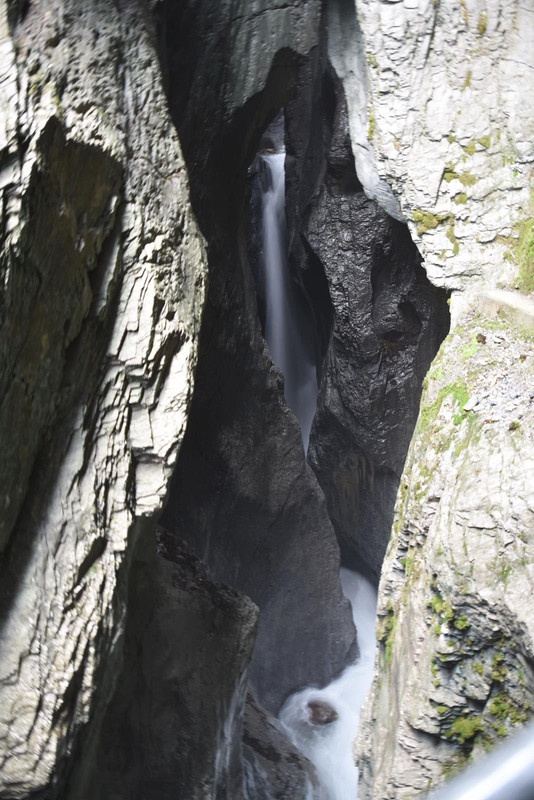 Huyendo del COVID a los Alpes (2020) - Blogs de Suiza - De casa a Grindelwald (Zona de Interlaken) (76)