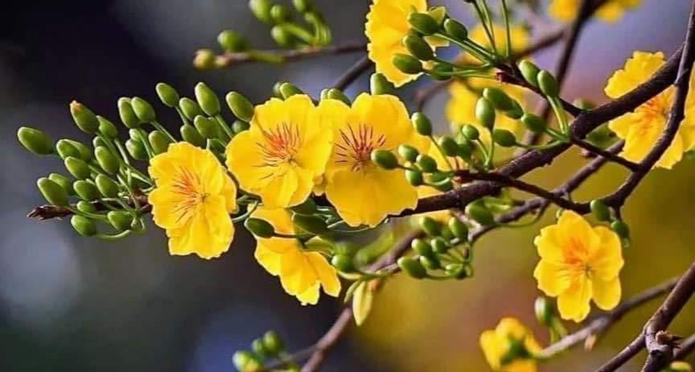 [Image: 422724213-889159565932148-7538894290263293270-n.jpg]