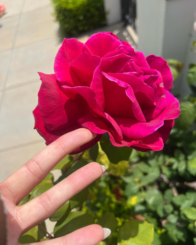 prayalundberg-1717248463-3380847614714184892-3244161