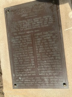 43-ADFB33-F9-C3-495-A-951-C-E781-E8-C66-