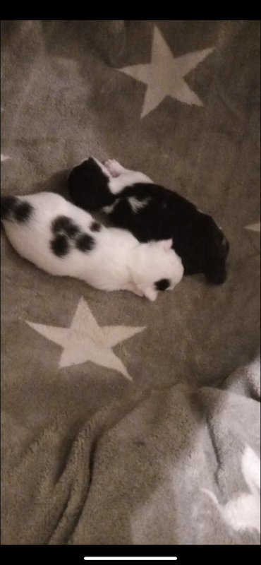 73466EB4-0B34-4632-90D7-F9CB4ED38A10