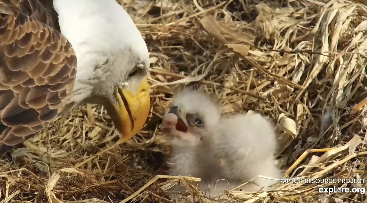 AFA48992-95DA-44B5-9B28-94BA67C75A9A