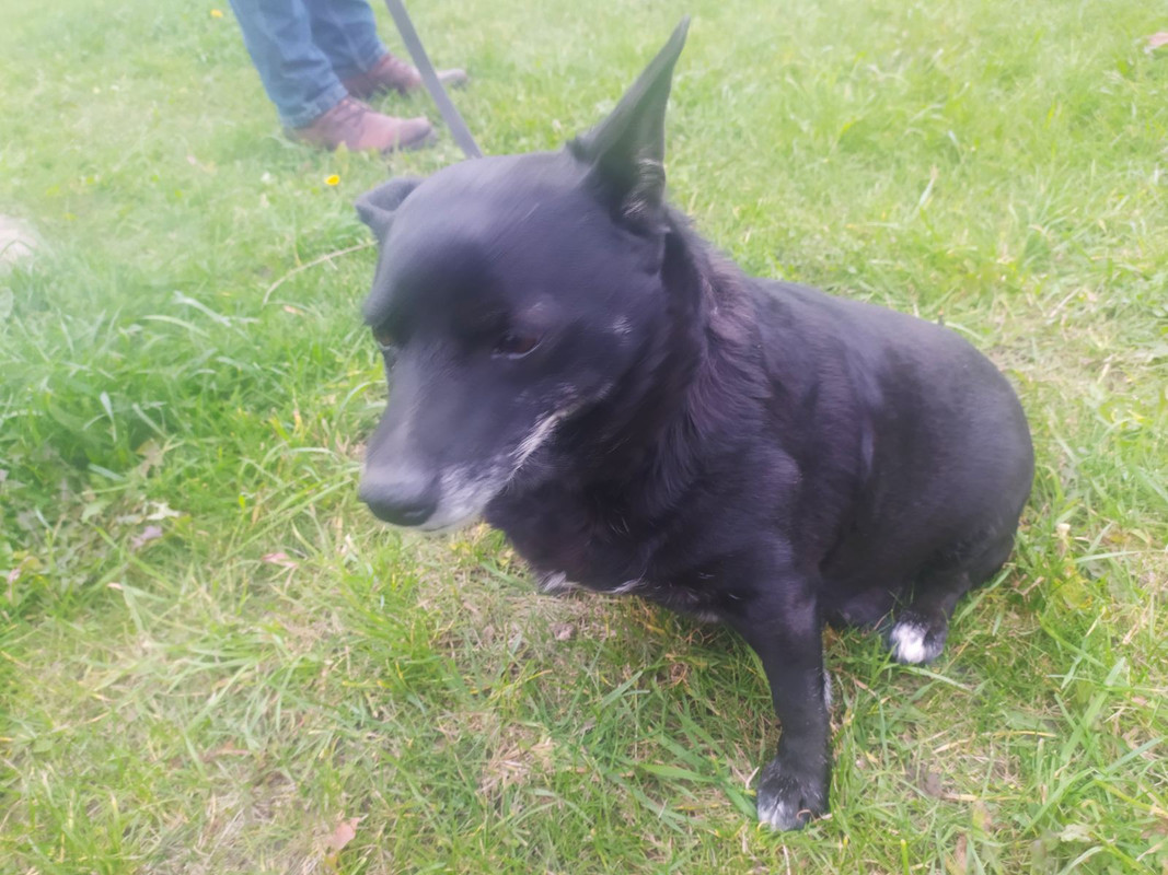 изображение_viber_2021-09-29_14-51-25-998