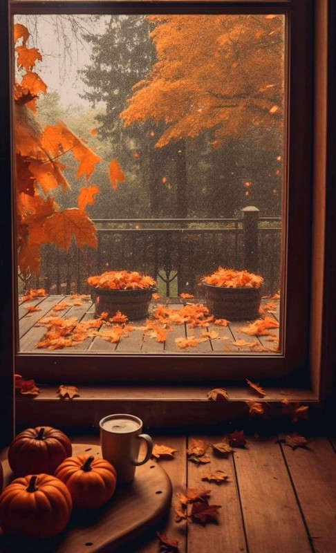 FB-IMG-1721684913253
