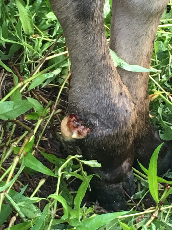 30D2E281-298F-429A-A6EE-BA9153C6787A