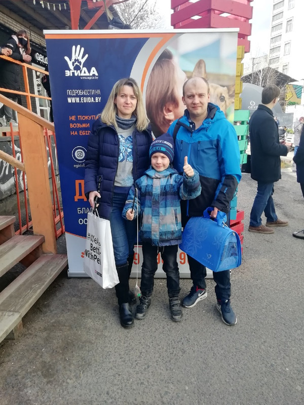 Маргаритка_а