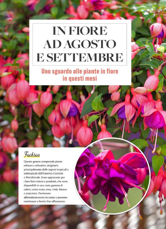 Pass Giar e Orto Lug 2025 (1)