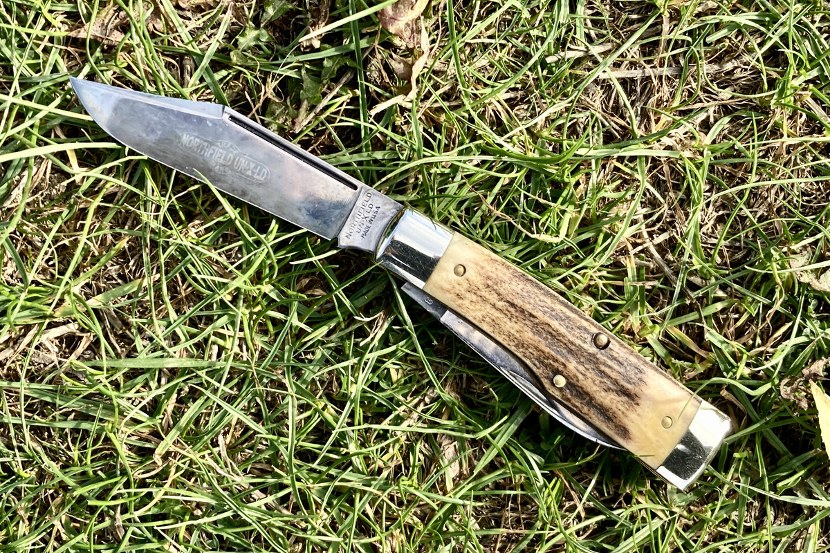 1AE5368B-C7F1-4809-B95C-ECBEDC028AA1