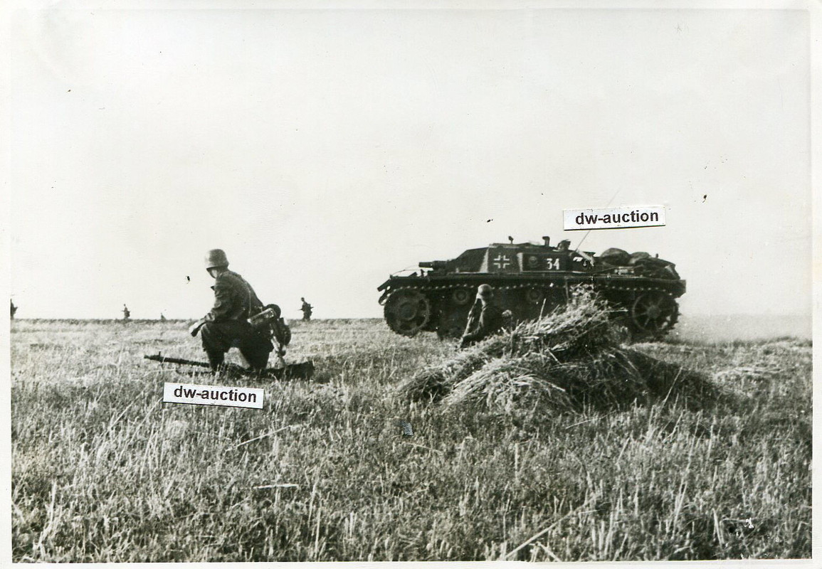 Sturmgeschütz Elite mit Nummer 34 und Wappen TK 