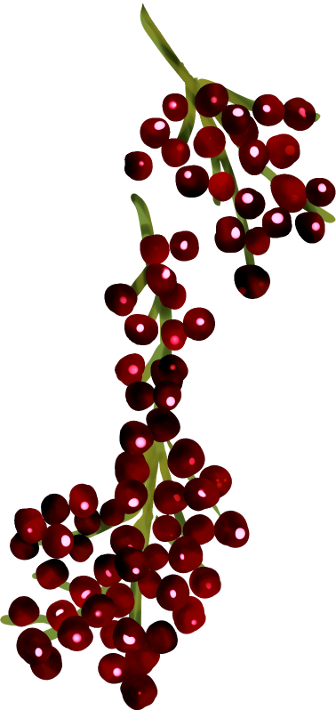 Christmas Dreams (111)