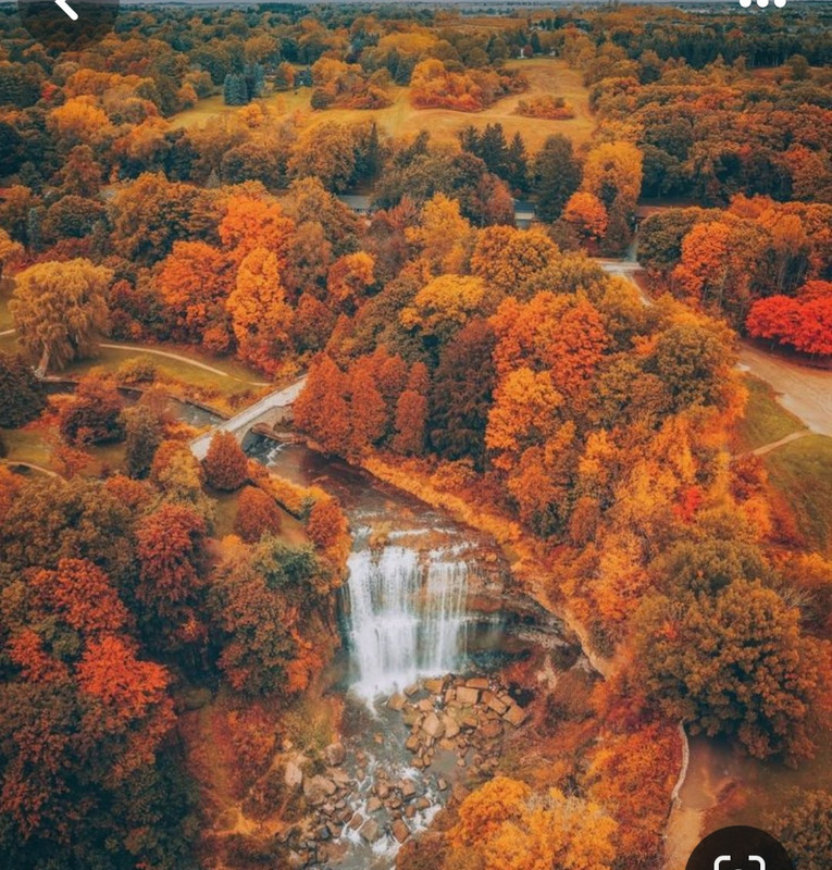 Screenshot_20231201_000435_Pinterest