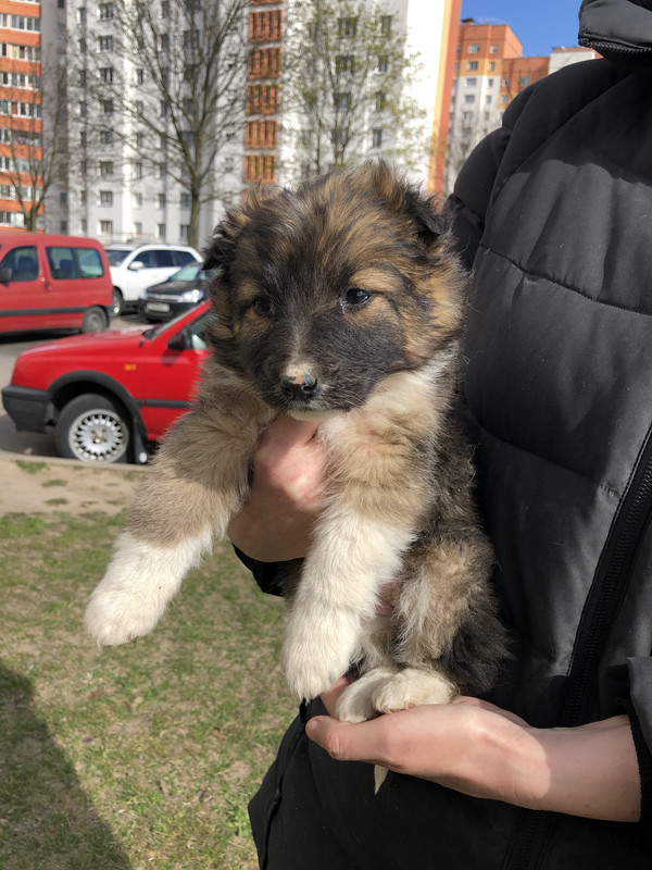 9E9576D9-6C4E-49A4-9665-471C1F2E820A