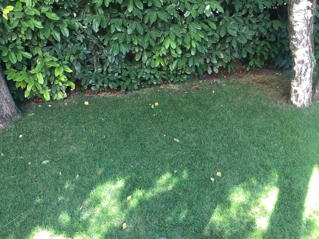 0DB464BD-2A0B-4089-BFAA-9192F5E21480