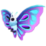 Moonlight Moth