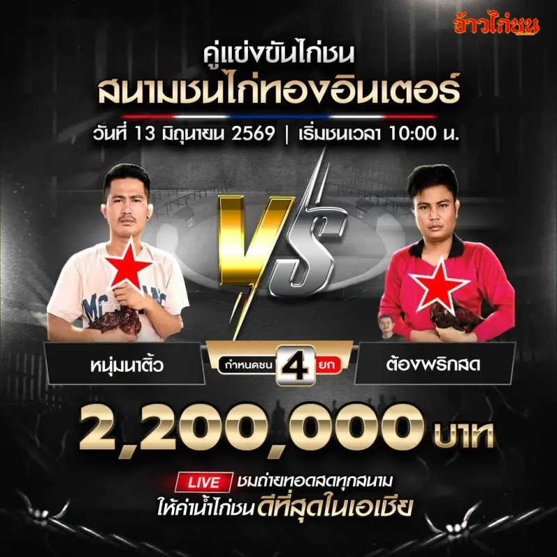 หนุ่มนาติ้ว vs ต้องพริกสด สนามชนไก่ทองอินเตอร์ 13 มิถุนายน 2569