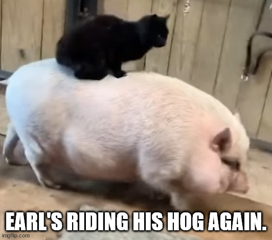 earl-ridin-hog.jpg