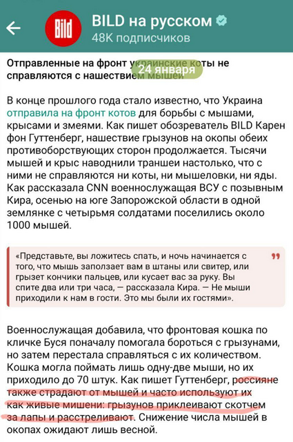 https://i.postimg.cc/6q71H923/2024-01-25-183703361.png