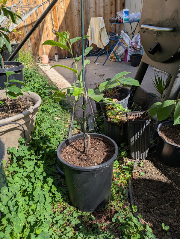 PXL_20250907_223632857