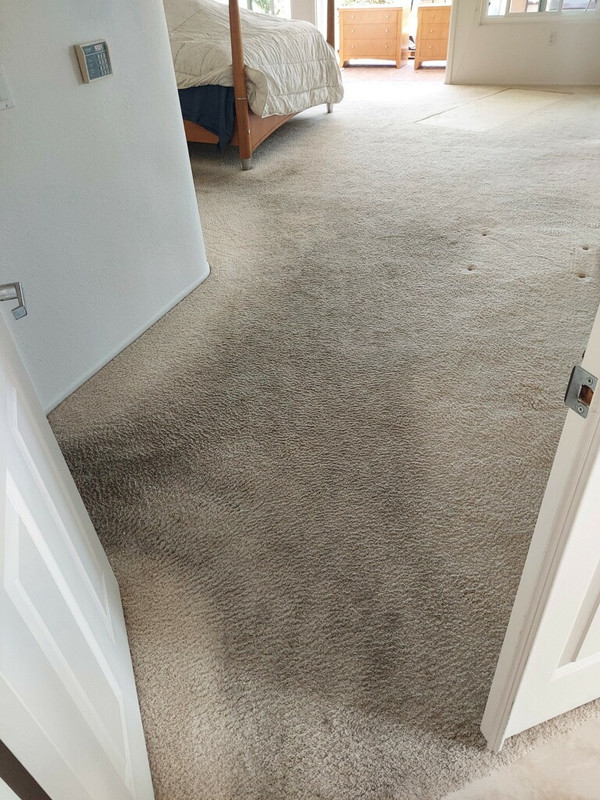 Carpet Cleaning Service in-Vista