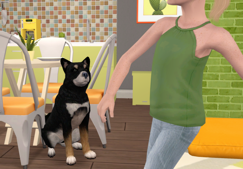 Sims2-EP9-RPC-2021-12-29-23-00-43-51