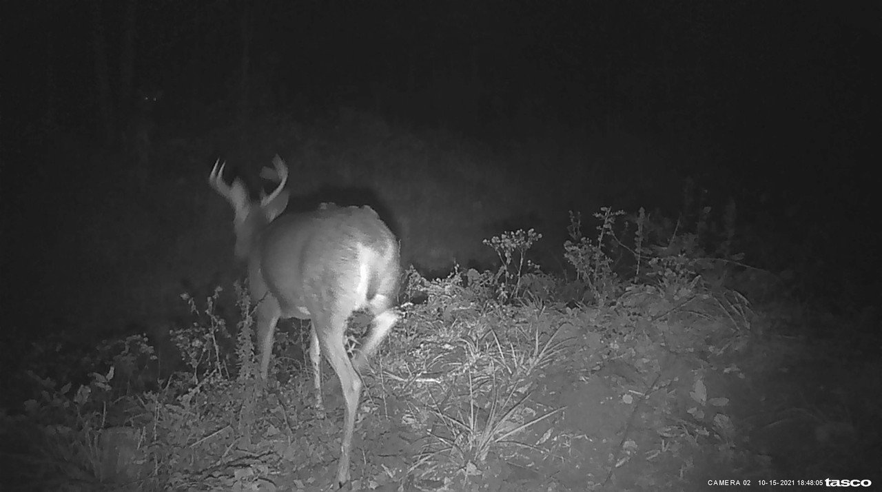 F109E872-8B61-4F1F-85E6-70D3F4743B26