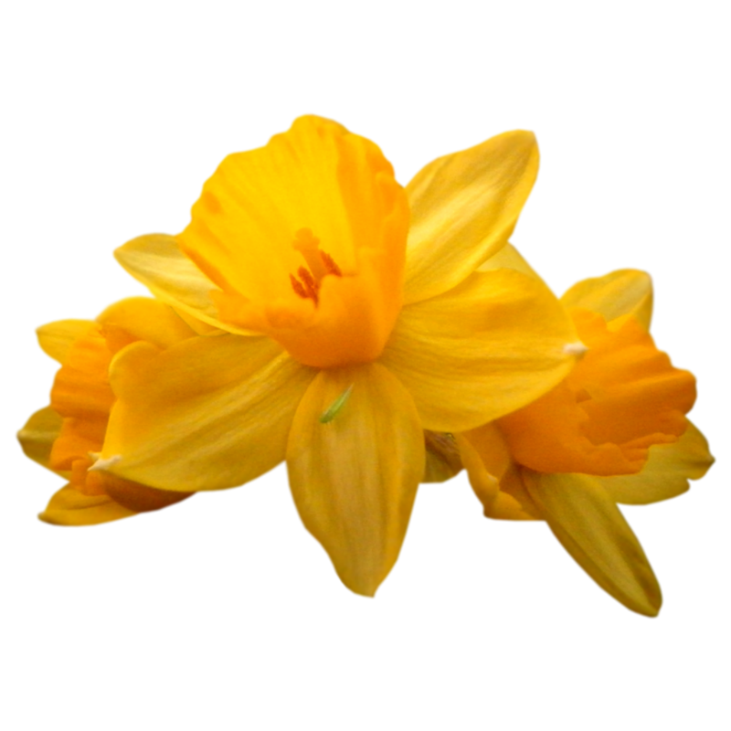 0_1c14b1_24bb038e_orig