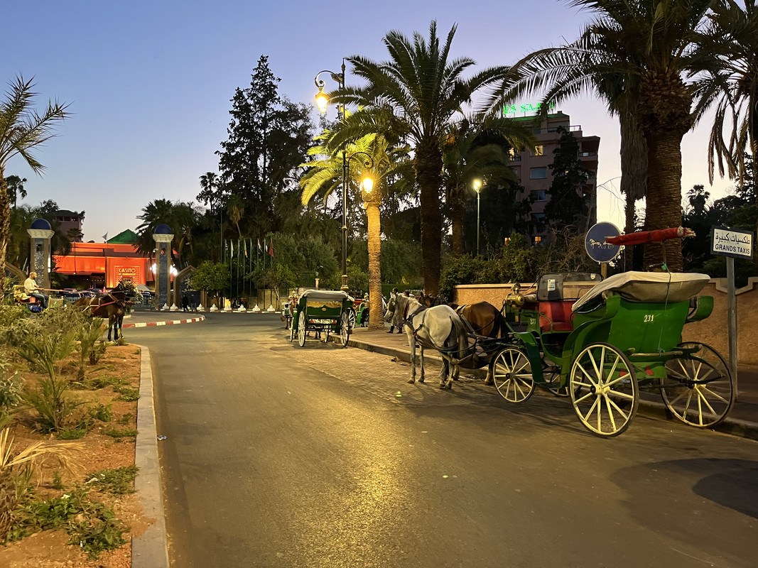 Agadir - Blogs de Marruecos - Que visitar en los alrededores de Agadir (13)