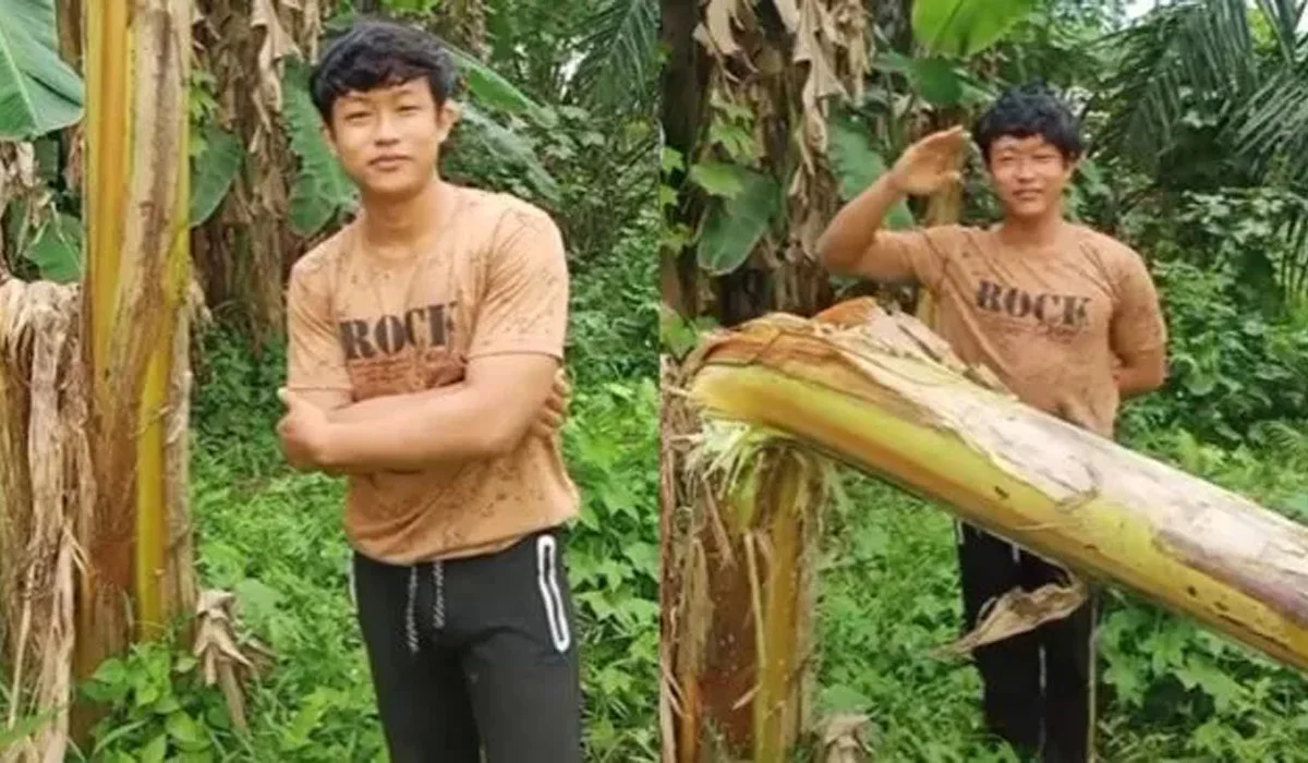 Dari Petinju Pohon Pisang ke CEO Kisah Paris Pernandes