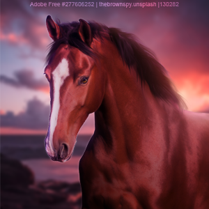 Premade-Avi-6-27.png
