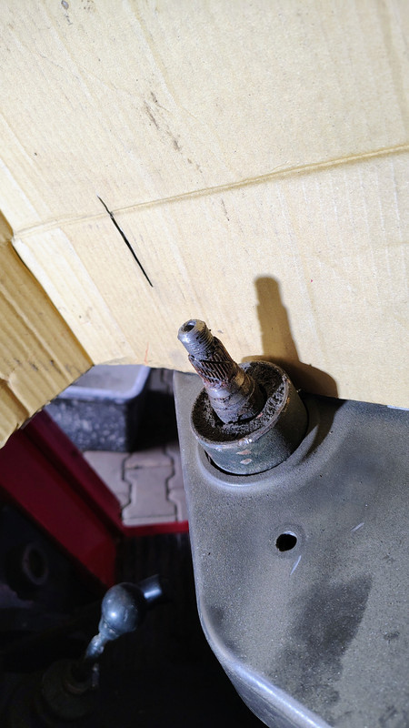 IMG_20250406_140347711_HDR_AE