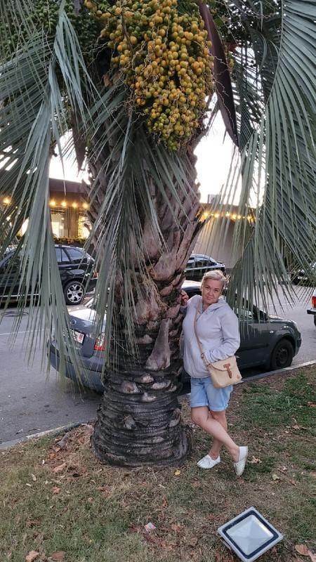 SNzQTyJvxsmWbZj6fTIGBYTVBj--pi_i1iWtG5m14bcEcuyiWU8qrFZ7BqMsJXZJ2XTI_KTjKs1apUKzj58kpa7U