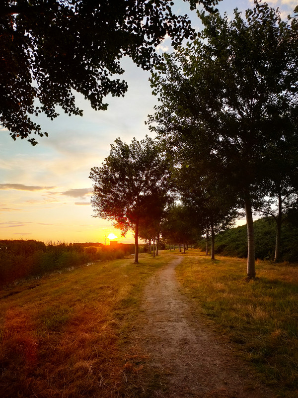 Lumii_20210725_212324971