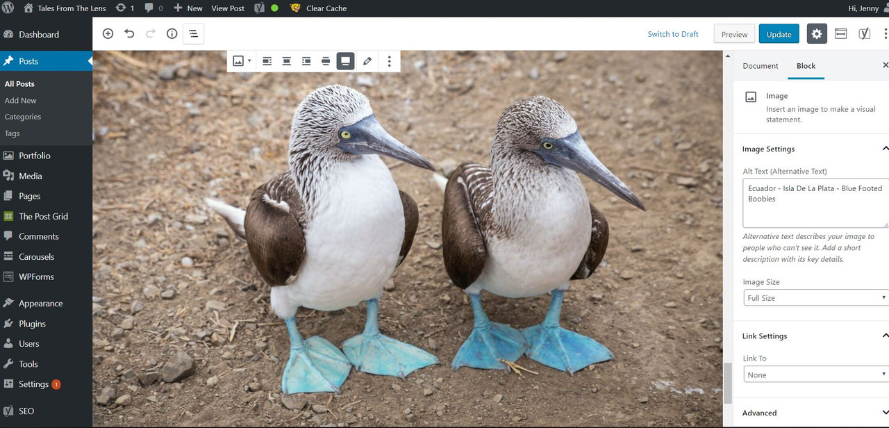 Fullwidth backend