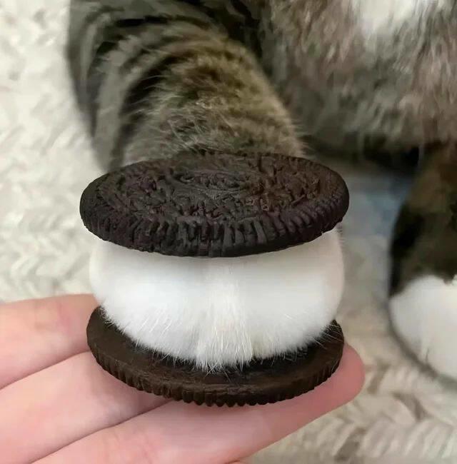 fluffycreme-0.jpg
