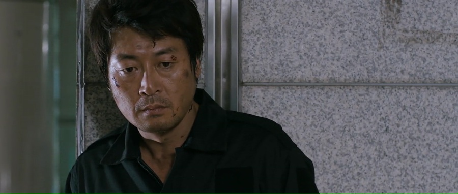 The Thieves 2012 BluRay [Hindi + Korean] 480p, 720p ESub Screenshot