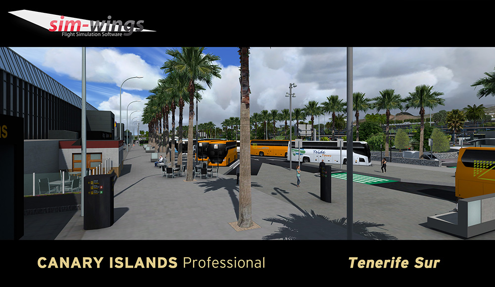canary-islands-prof-tenerife (13)