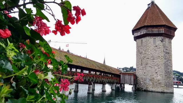Lagos de Italia, Suiza y Alemania - Blogs de Europa - Cataratas de Trümmelbach, Interlaken, Lucerna (5)