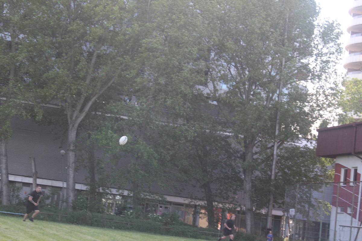 IMG-1306