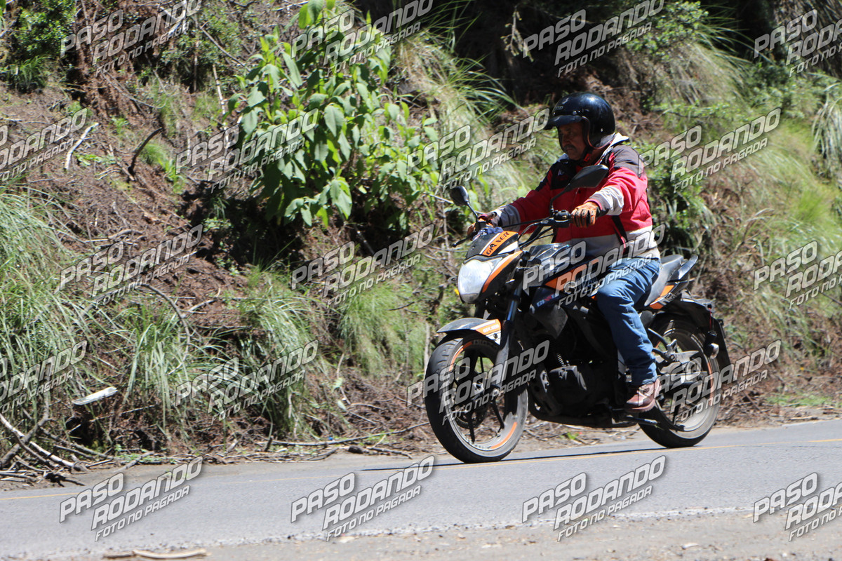 IMG 5252 wm 15603782 2 watermarked — Postimages