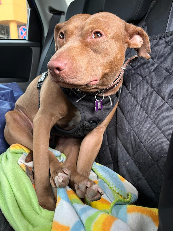 AC2838DF-72BA-4C61-9A84-A4B5B5355B85