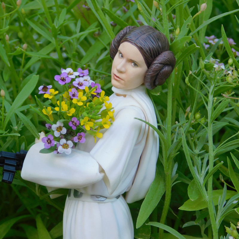 Дачно-Харлинский июнь-июль 2024 209