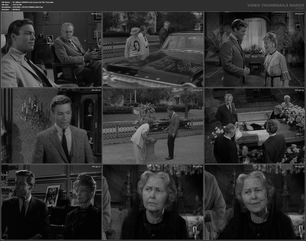 Dr. Kildare S04E04 Last Leaves On The Tree.mkv