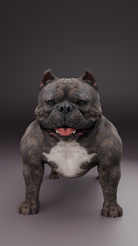 Micro Bully
