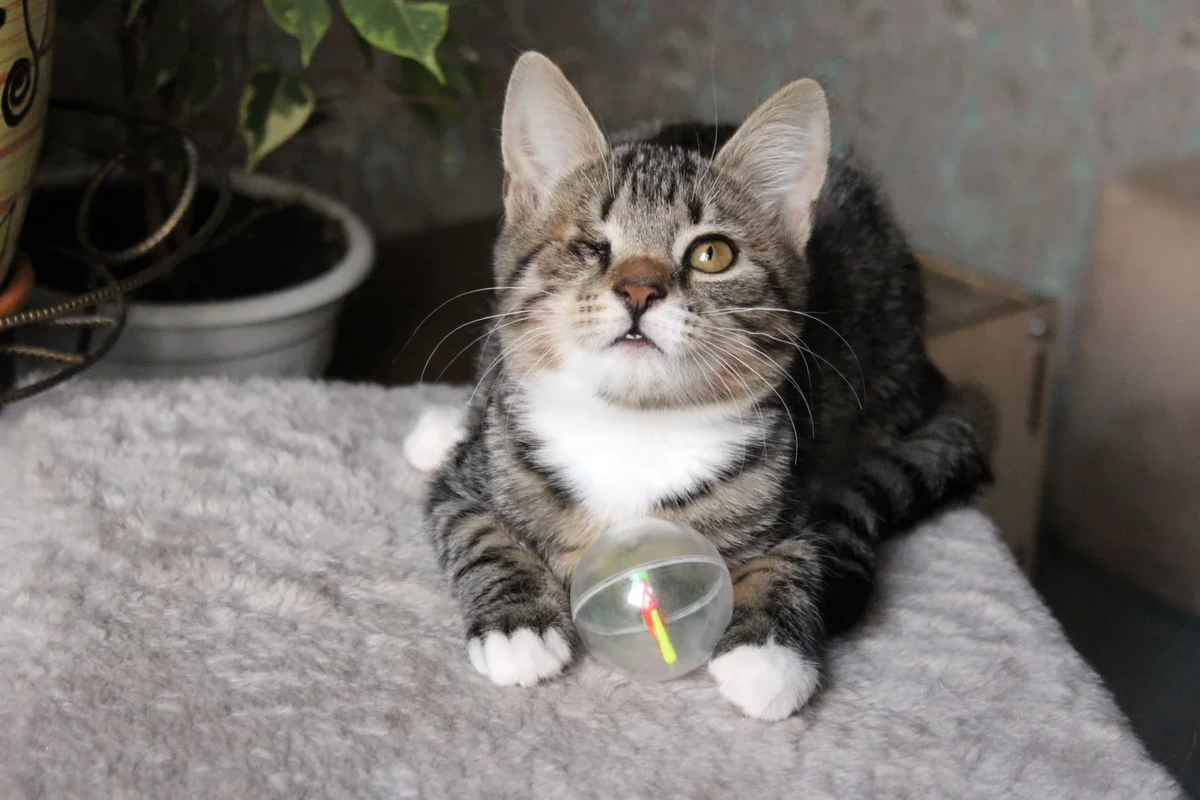 B57213C1-5E70-429F-A50B-DA72834FEF22