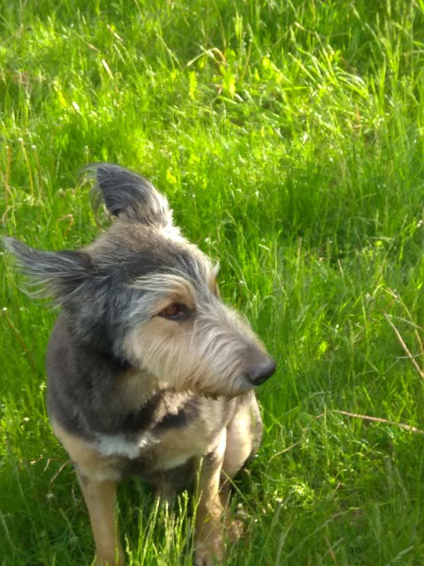 изображение_viber_2025-10-05_22-56-25-194